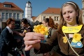 Pekný slovenský rekord: Na Deň narcisov vyzbierali takmer milión eur