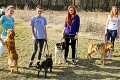 Zvolenčania si užili krásne počasie: Kočky prevetrali psíky z útulku