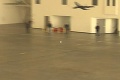 Nový svetový rekord v hode papierovým lietadlom: Mladík hodil 68,92 m!