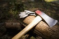 Tragédia v Hornom Rakúsku: Slováka zabil padajúci strom