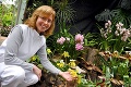 Pestrofarebná výstava v Košiciach: Orchidey rozkvitli v tuhej zime