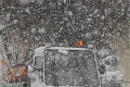 Sneh zavalil Európu: V Česku napadla rekordná pokrývka!