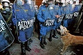 Posila Grékov pri protestoch: Pes-demonštrant!