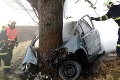 Kamenár Juraj († 43) autom narazil do stromu a zomrel na mieste