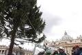 Vo Vatikáne bude svietiť vianočný stromček z Ukrajiny