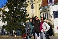 Bratislava už má vianočný stromček: Daroval jej ho Samta!