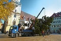 Bratislava už má vianočný stromček: Daroval jej ho Samta!