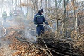V lese pri Budimíre vypukol požiar, hasiči ho likvidujú už druhý deň