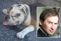 Kritika Slobody zvierat: Exmoderátor našiel psa, no z útulku záhadne zmizol