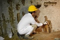 Významný objav v Ríme: Pri Koloseu našli mozaiku boha Apolóna