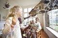 Aj žirafa si vie vyjadriť názor