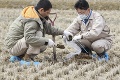 Kamikadze seniori: Riskujú život, aby odstránili katastrofu vo Fukušime