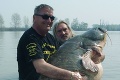 Prešovčania ulovili rybieho kráľa: Sumec vážil 149 kg a meral 260 cm