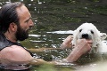Knutovu smrť nakrútili návštevníci zoo: Medveď sa utopil!