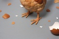 Nezvyčajný umelecký zlepenec: Čo bolo skôr? Vajce alebo sliepka?