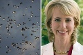 Úhyn vtákov a postrelenie kongresmanky: Sú za tým testy vesmírnych zbraní?
