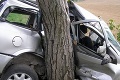 Auto narazilo do stromu, dvaja ľudia tragickú zrážku neprežili