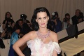 Novomanželia Katy Perry a Russel Brand: Budúcnosť im veštil papagáj
