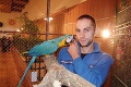 Ara Kejty na výstave exotických vtákov: Mláďa papagája meria až 90 cm