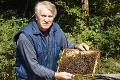 Zúfalí včelári z Gelnice: Med bude drahší, nemáme dosť ani pre seba!