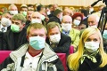 Slovensko má sedem nových prípadov prasacej chrípky