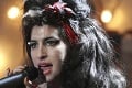 Amy Winehouse: Chce, aby ju brali opäť vážne!