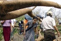 Mjanmarsko: Humanitárna pomoc dostala zelenú