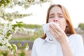 Alergikov čaká náročné obdobie: Tento peľ ich bude trápiť až do polovice júla