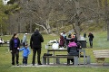 Vo Švédsku chcú zabrániť žúrovaniu mladých v parku: Použili na to tonu slepačích výkalov