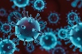 WHO reaguje na kontroverzné výroky talianskeho lekára: Pravda o koronavíruse