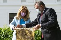 V hlavnom meste pribúdajú včelie úle: Med svetovej kvality priamo z Bratislavy!