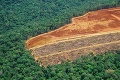 Svet zabudol na prírodu: Počas koronakrízy vyrúbali rekordný kus Amazónie