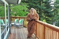Nezvyčajný spôsob, ako zvýšiť záujem kupujúcich: Dom od Bigfoota na predaj