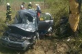 Nešťastie na východe: Auto narazilo do stromu, jeden človek bol na mieste mŕtvy
