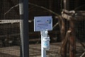 Z kontaktnej zoo v Liptovskom Mikuláši urobila pandémia bezkontaktnú: Odstup od zvierat 2 metre!