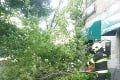 Vyčíňanie vetra v Trnavskom kraji: Stromy sa zvalili na tri osoby