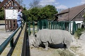 Zoo bude mať novú riaditeľku: V USA založila úspešnú firmu, v Bratislave má odvážny cieľ