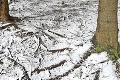 Do najchladnejšej obce sa vrátila zima, teploty spadli pod nulu: Traja ľadoví muži zasnežili Oravu