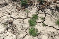 Meteorológovia zo SHMÚ o vážnych následkoch sucha: Najväčšie problémy môžu byť na východe, toto nám hrozí!
