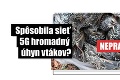 Tisícky Slovákov šírili na Facebooku hoax: Nie, test siete 5G nezabil škorce v Haagu