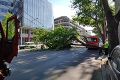 Kuriózna nehoda v Bratislave: Na trolejbus padol strom