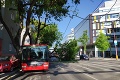 Kuriózna nehoda v Bratislave: Na trolejbus padol strom