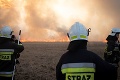 Dobré správy z Poľska: Ničivý požiar v najväčšom národnom parku je pod kontrolou