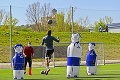 Trenčín vytiahol nafukovacie Anče, Slovan čaká na povolenie