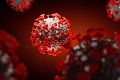 Šíri sa veľkou rýchlosťou: Britský variant koronavírusu zaznamenali už v najmenej 60 krajinách