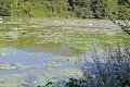 Pri Košiciach odštartovalo čistenie vodnej nádrže: Z odpadu na Ružíne urobia ekotvárnice
