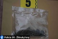 Protidrogový záťah na Liptove: Policajti našli kokaín a tisícky dávok marihuany