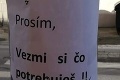 Katku zaujal papier prilepený stĺpe v Prešove: Keď zbadala tú výzvu, trhala hneď aj ona!