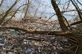Smutný pohľad na vodnú nádrž: Zo Zemplínskej šíravy je slovenské more odpadkov