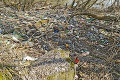 Smutný pohľad na vodnú nádrž: Zo Zemplínskej šíravy je slovenské more odpadkov
